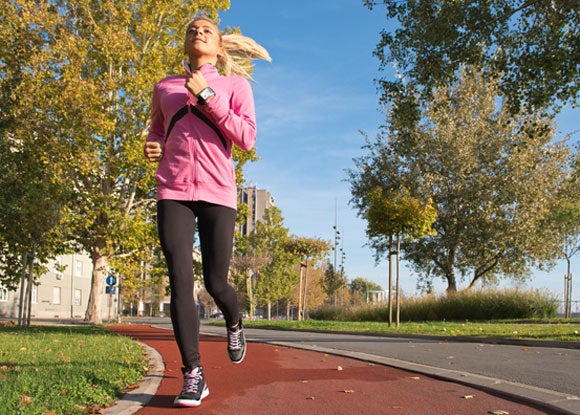 Photo courtesy of shutterstock.com