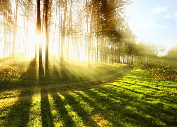 One benefit of early morning running - beautiful sunrises! Photo courtesy of Shutterstock.com