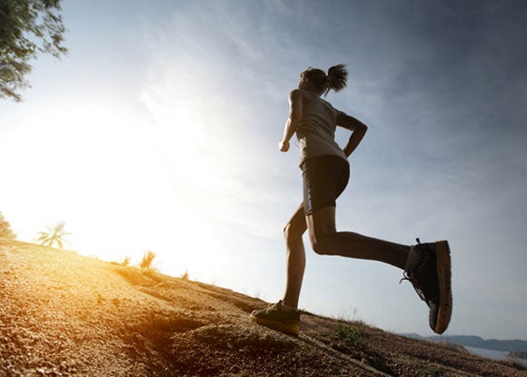 Photo by Shutterstock.com