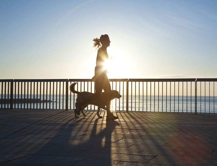 Photo courtesy of Shutterstock.com