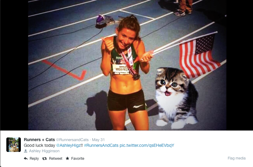 cat attacks runner cat attacks runner