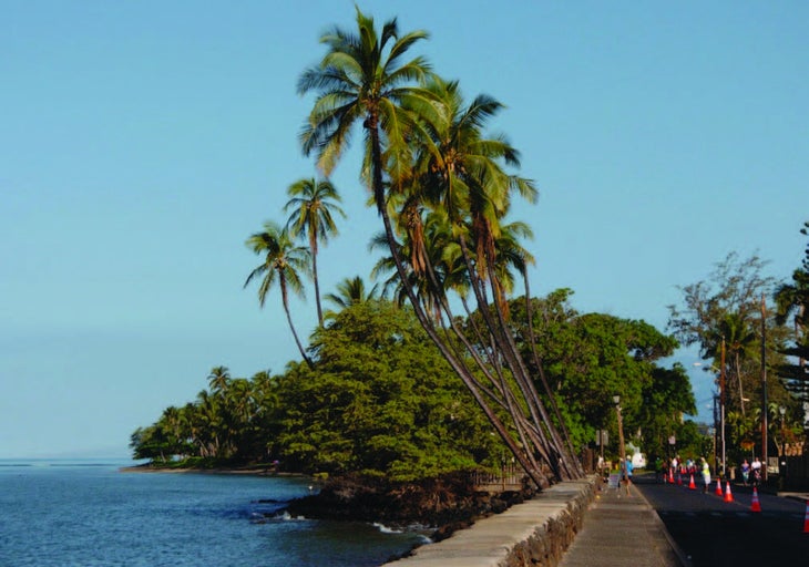 Maui Half Marathon
