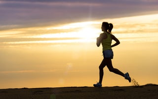 Photo: Shutterstock.com