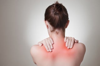 Photo: Shutterstock.com