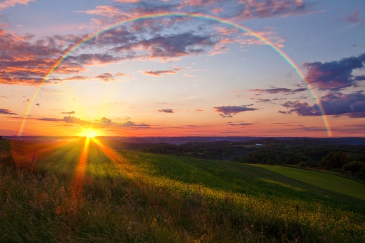 shutterstock_91163159