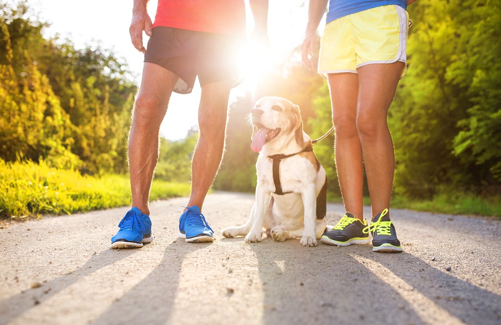 running with your dog