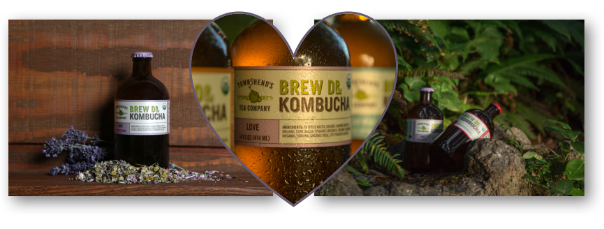 kombucha cocktail recipes