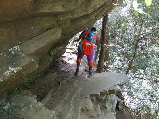 Why The Scale Weight Isn’t The Only Measurement You Need (2023) Set a Scary Goal.