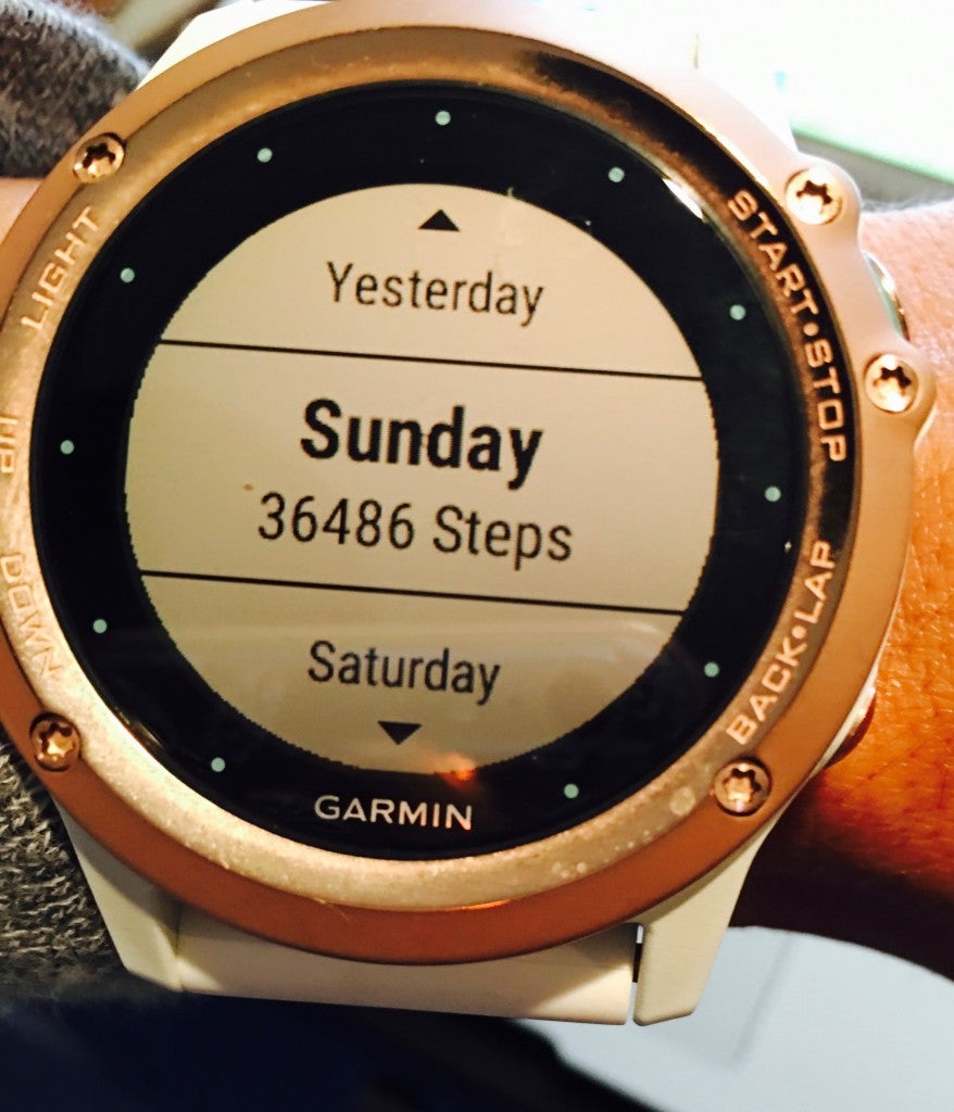 garmin fenix sapphire, garmin fenix