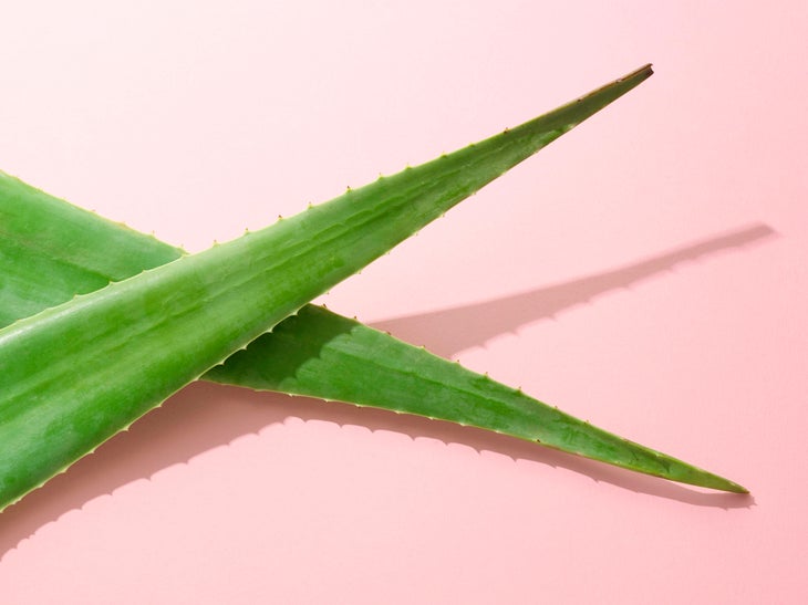 Aloe is key to helping you sleep with sunburn.