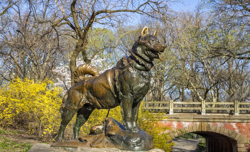 Photo courtesy of cpaulfell / Shutterstock.com