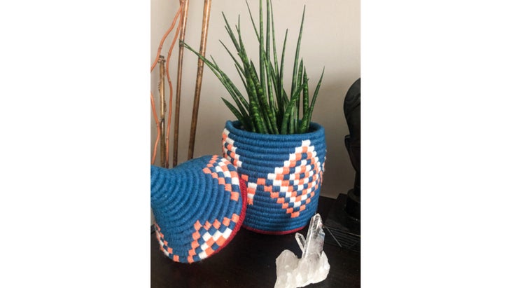 Plant in blue woven basket with diamond pattern