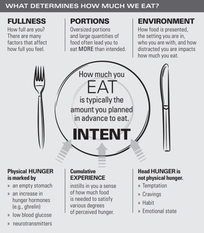Infographic on the factors that determine how much we eat