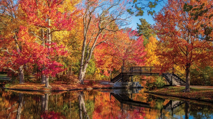 Providence's Roger Williams Park in autumn.