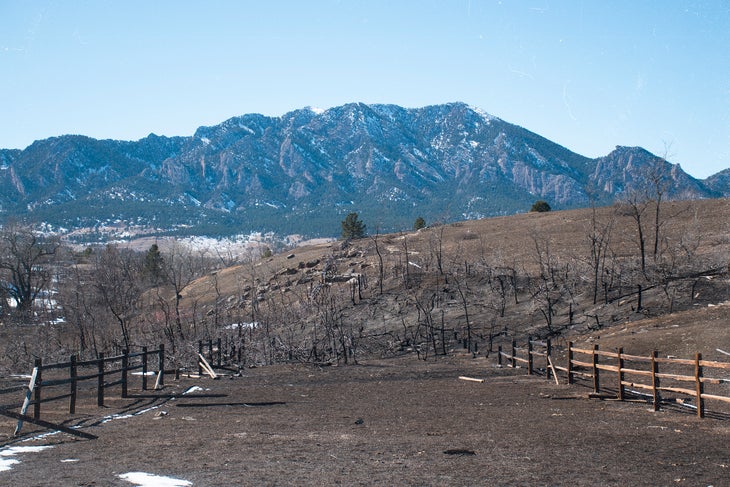 Landscape of Boulder Flatirons in the background and burned trees in the foreground