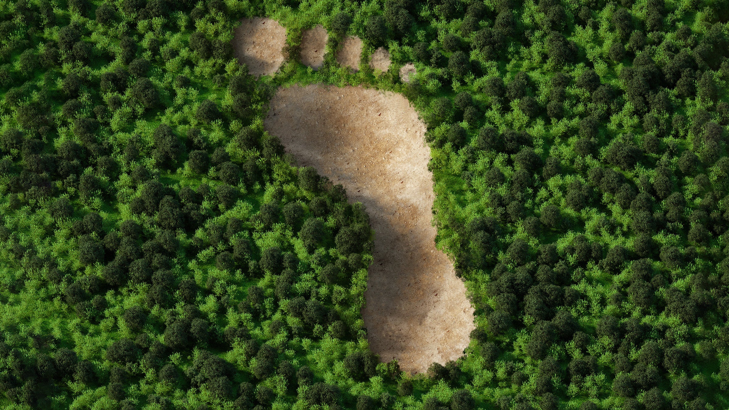 bare footprint in a green forest concept