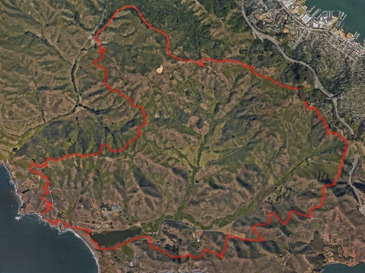 Salomon Marin Half Marathon