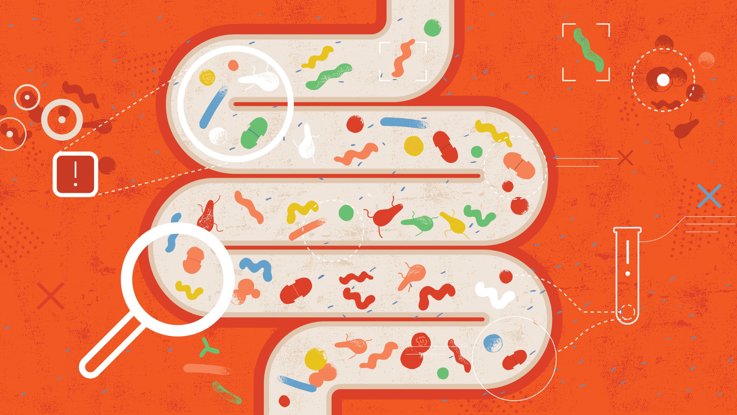 Athlete microbiome gut health