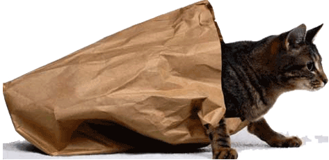 Let the Cat out of the Bag
