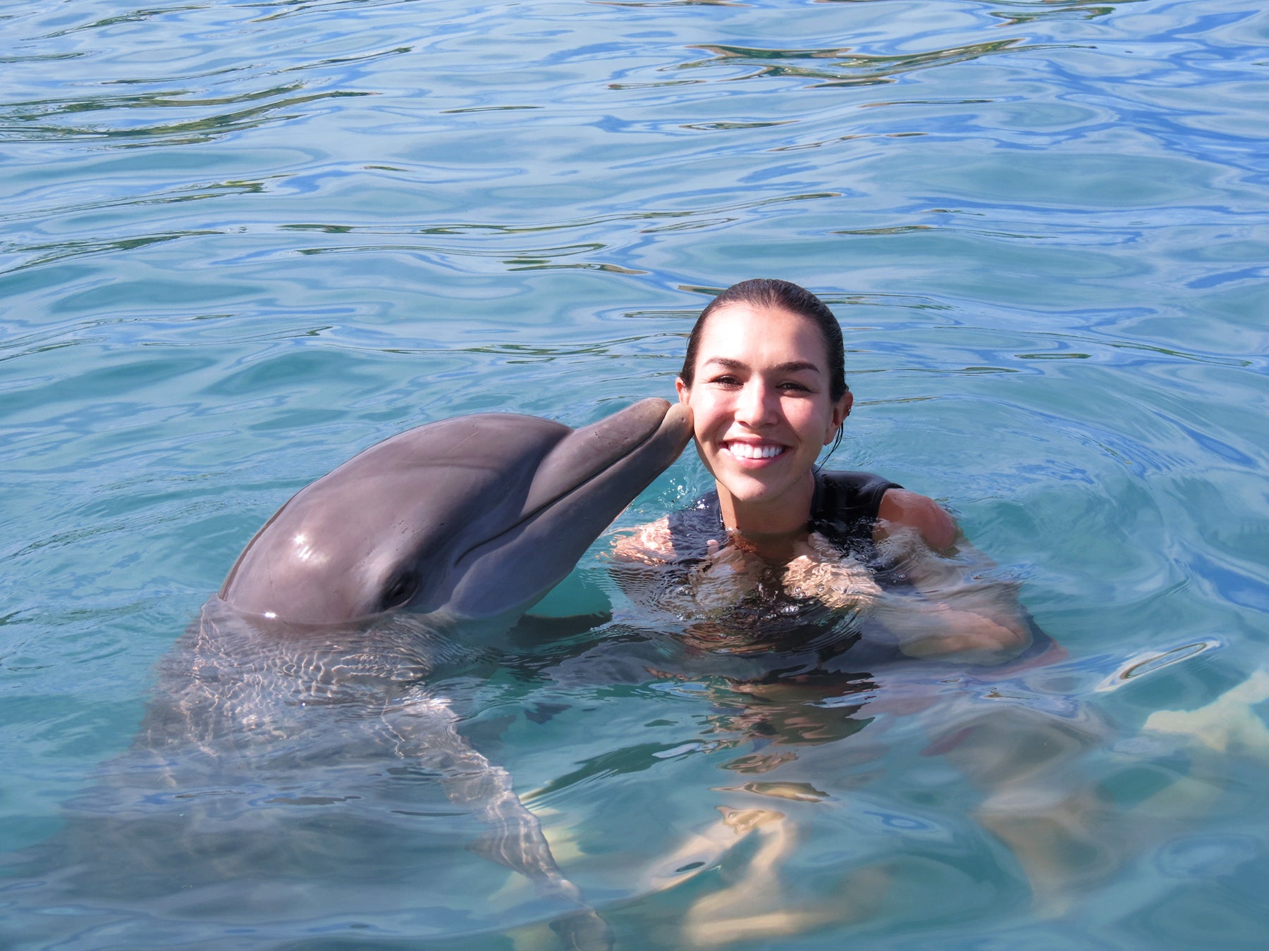 Dolphin