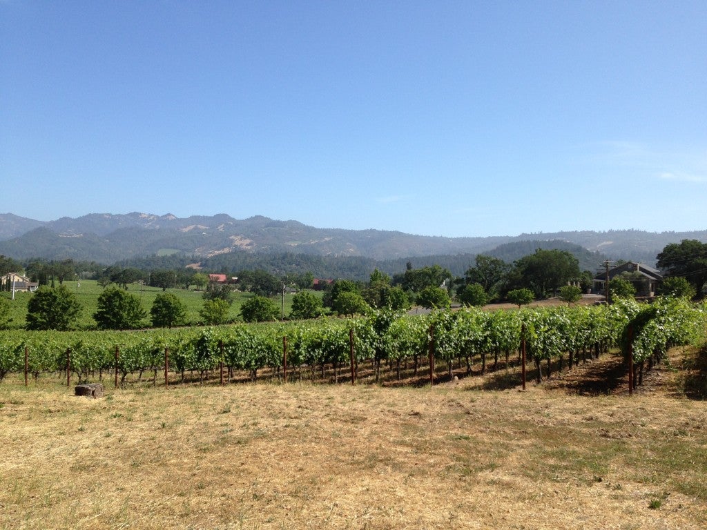 Napa,