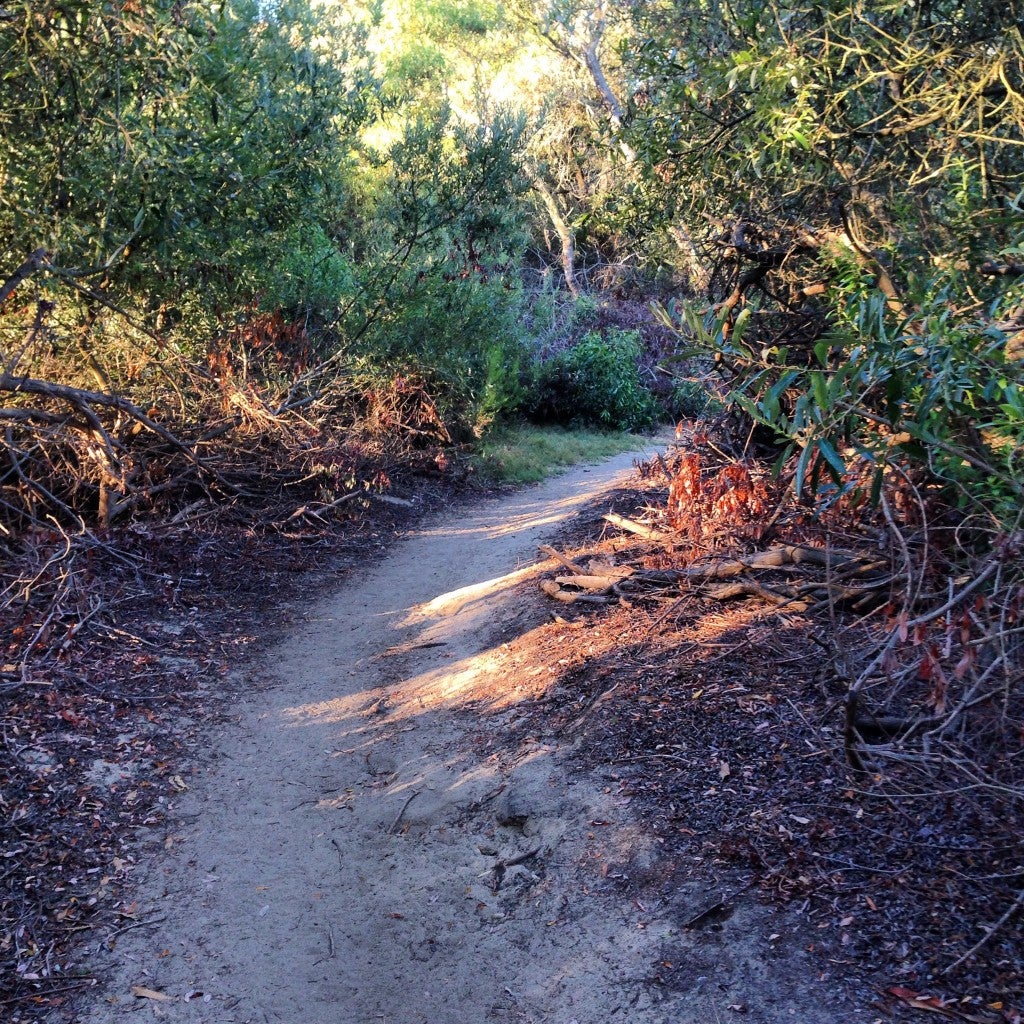 Loved my trail time, hated my lack of hydration. Thank God for shade!