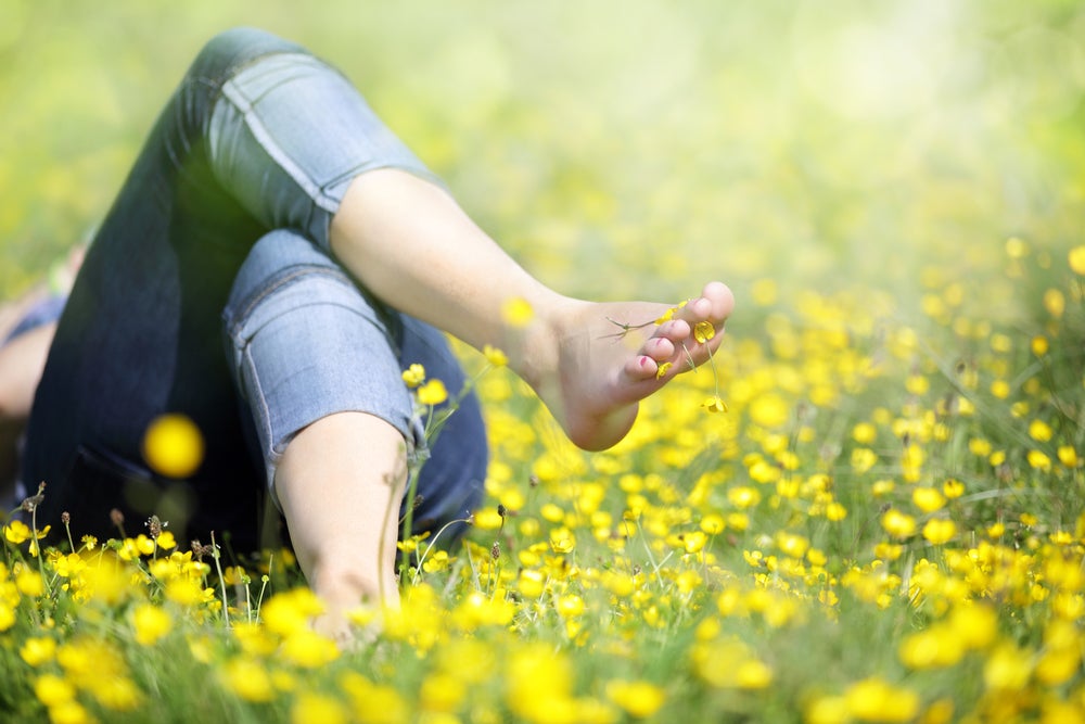 Photo: Shutterstock.com