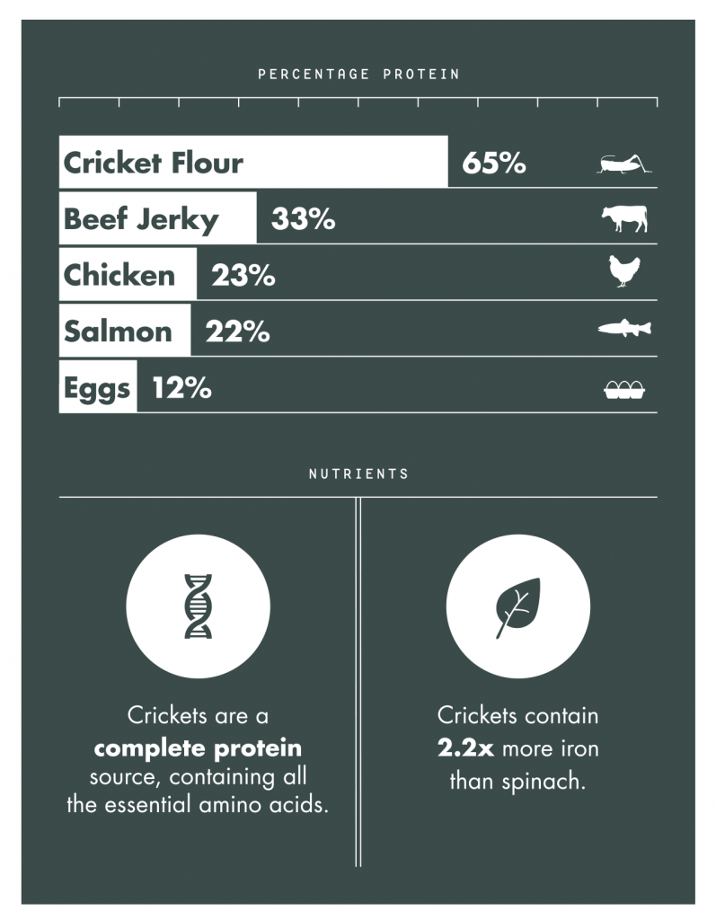 CricketInfographic 1