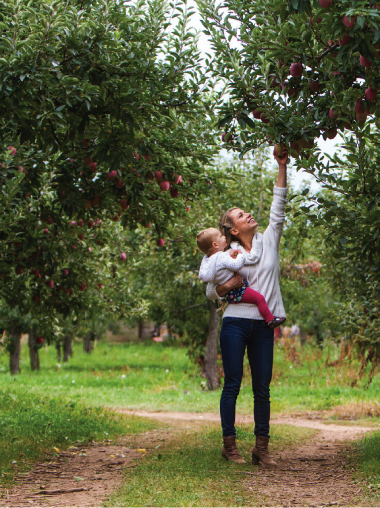 Elyse picking apples with her daughter, Lily, in Hood River, Ore.
