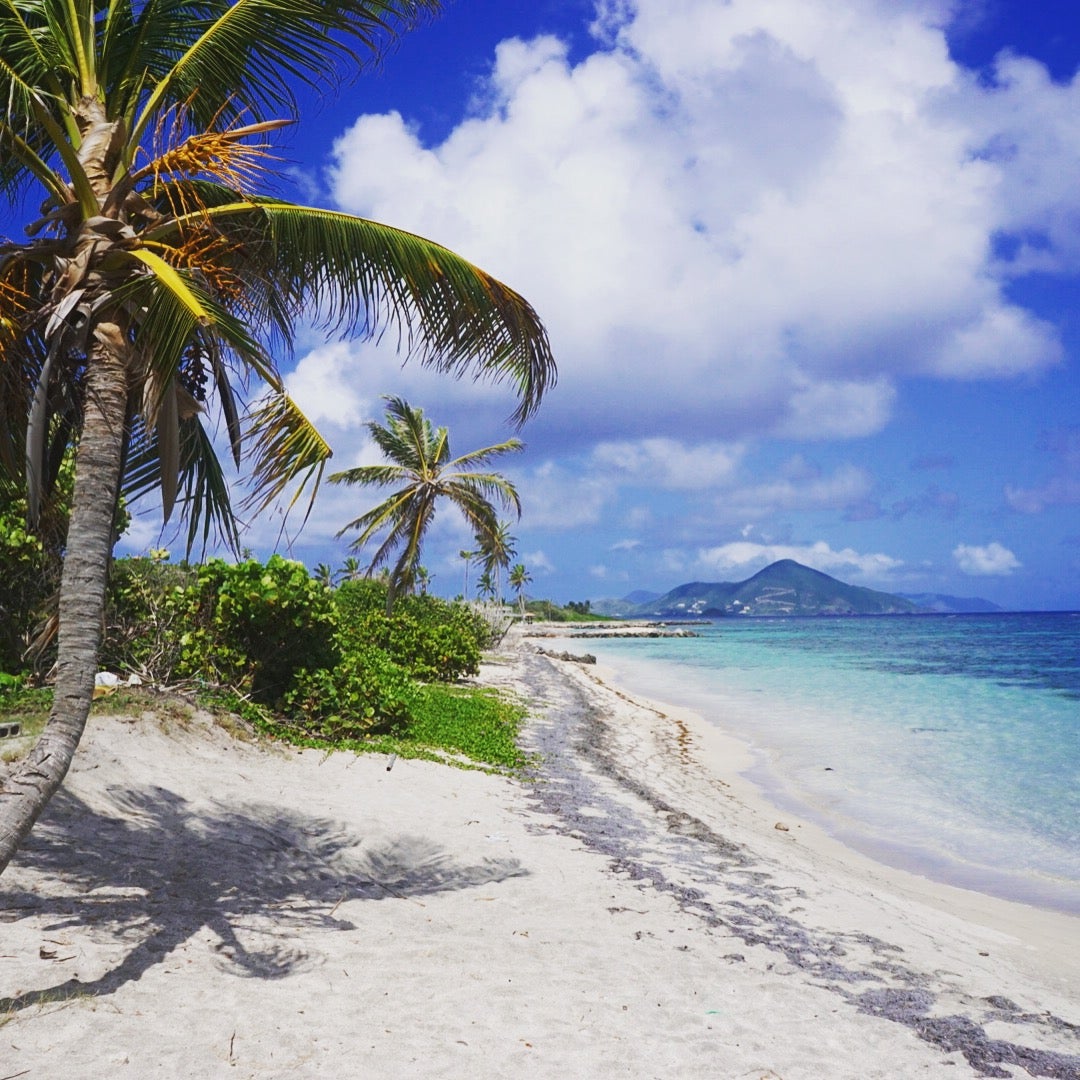 Herbert's Beach on beautiful Nevis!