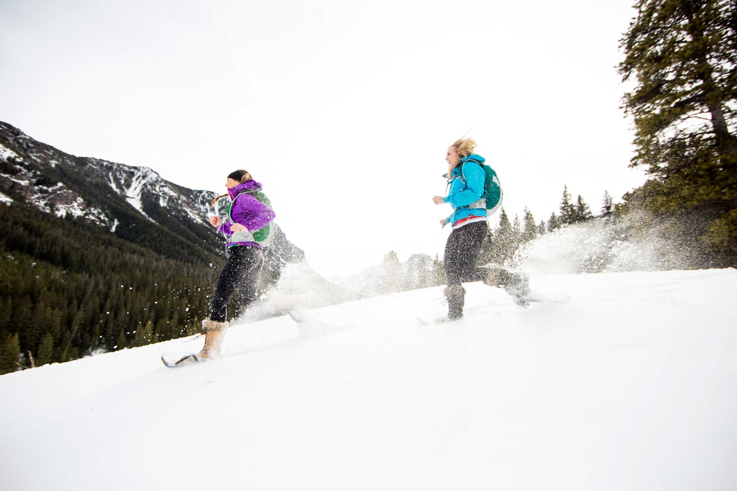 snowshoe run