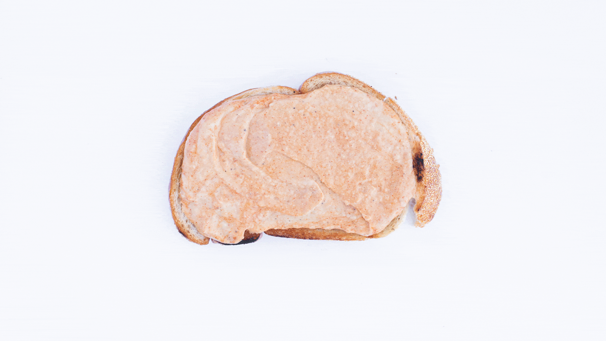 Toast with Harissa and Turkey