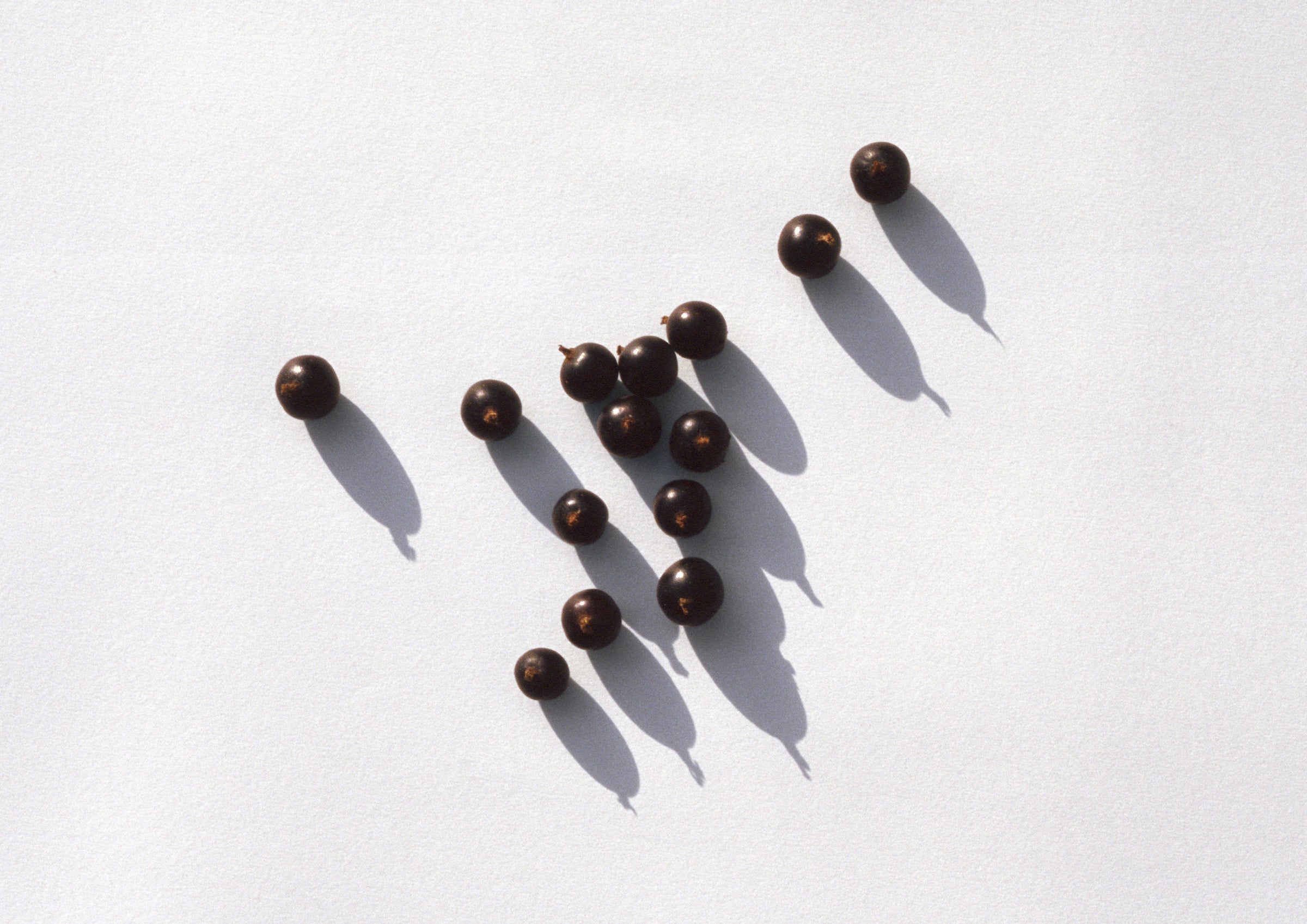 Blackcurrants may be the new super fruit.