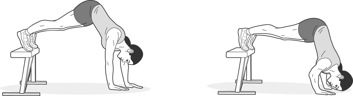 Illustration of woman performing inverted shoulder press with bench