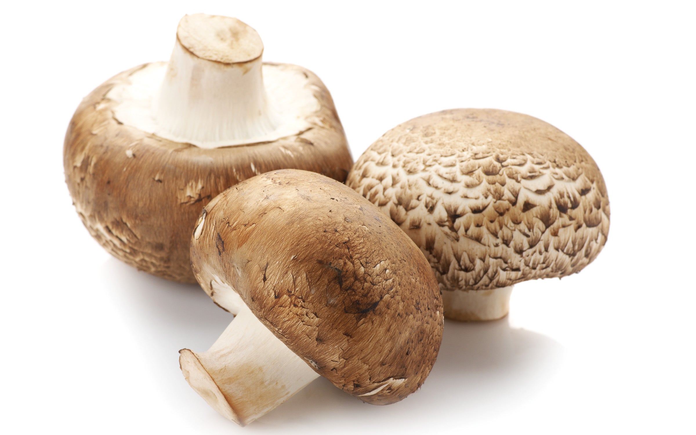 Three cremini mushrooms isolated on white background.