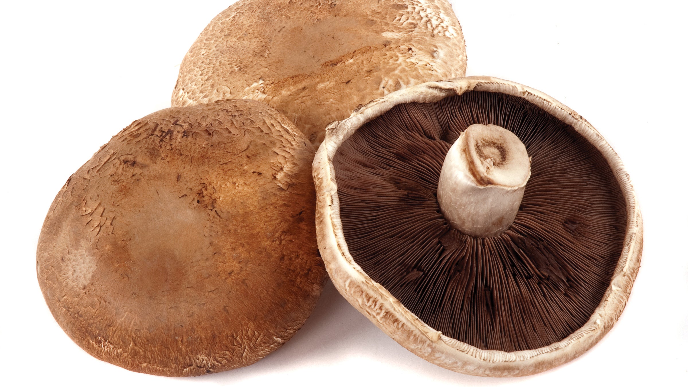 Three Portabella mushrooms on a white background