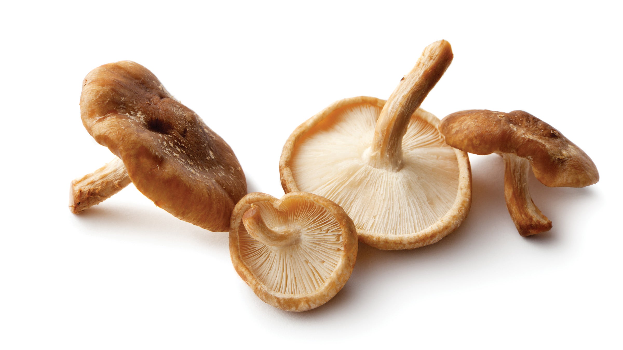 Shiitake mushrooms on a white background
