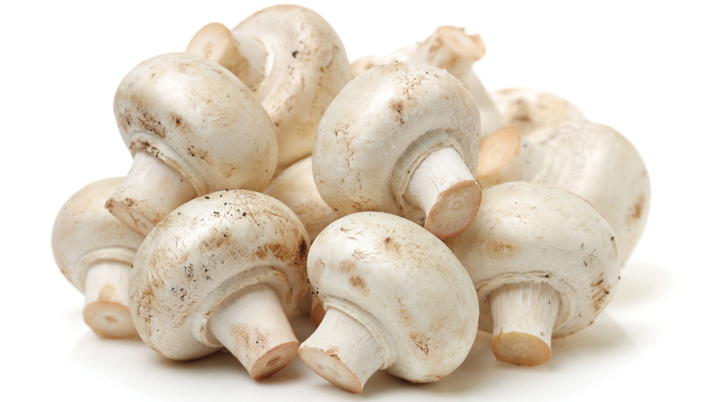 White Mushrooms On White background