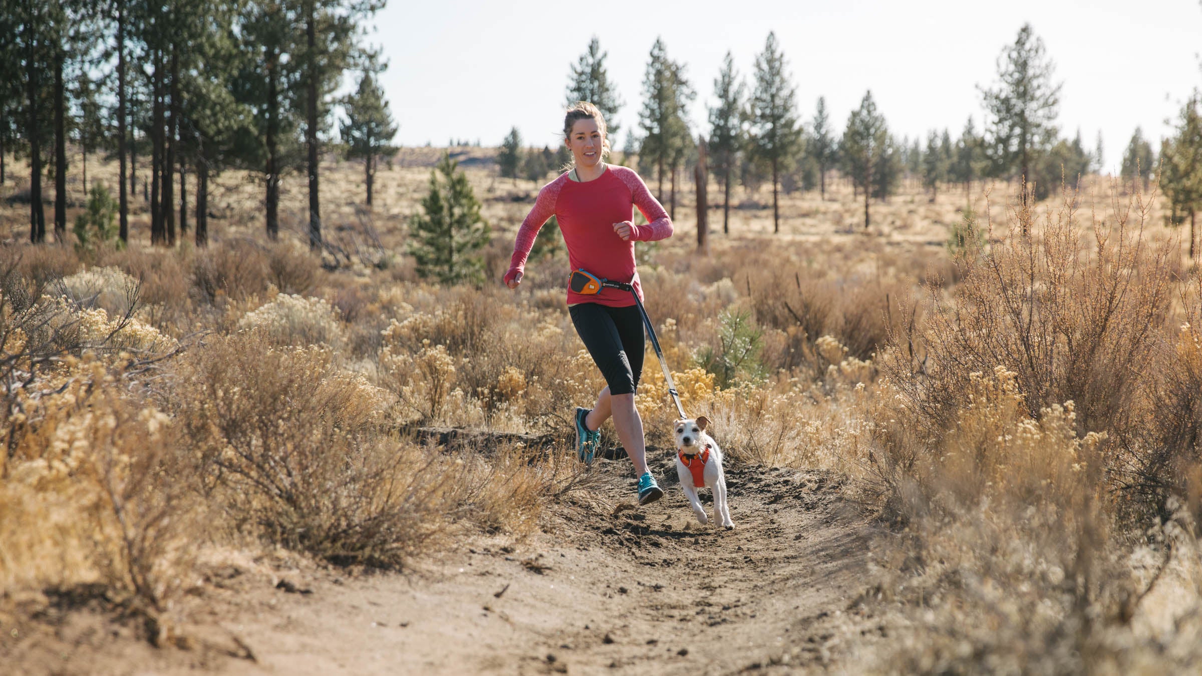 Best Dog Running Gear for Trail Running with Dogs