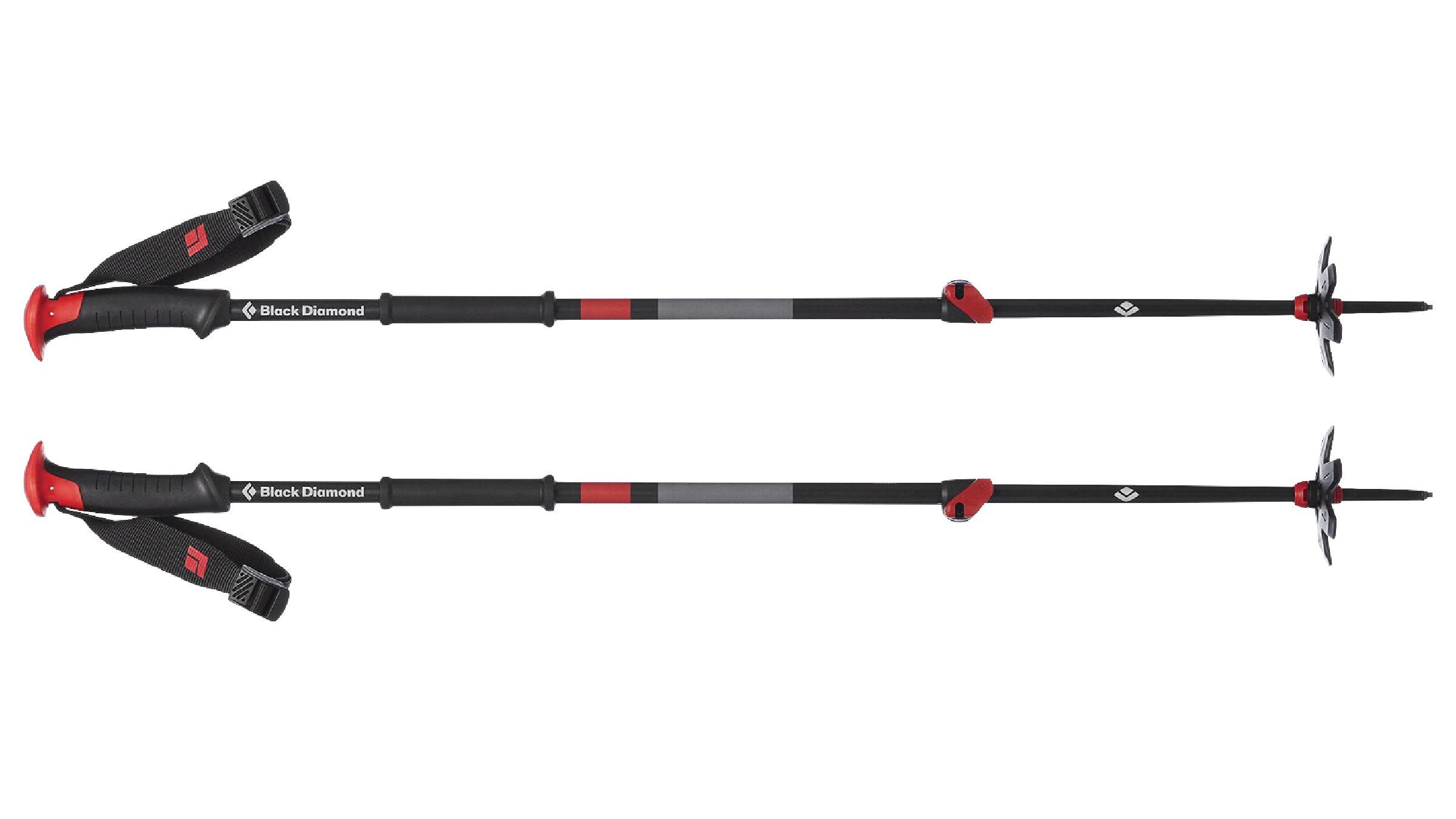 Black Diamond Ski Poles